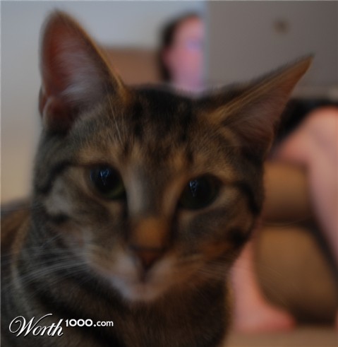 Photography by static83