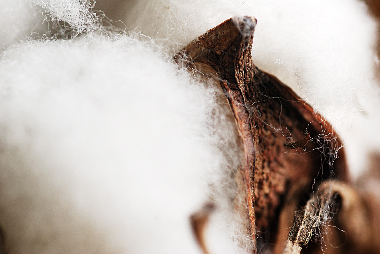 Fotografía por 0kuper0 para DesignCrowd (Community Contests) | Diseño #8947115