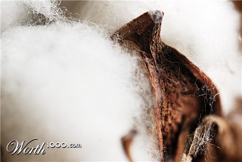 Photography by 0kuper0