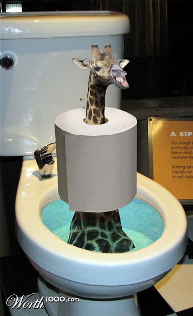 Photoshop Design by downknew