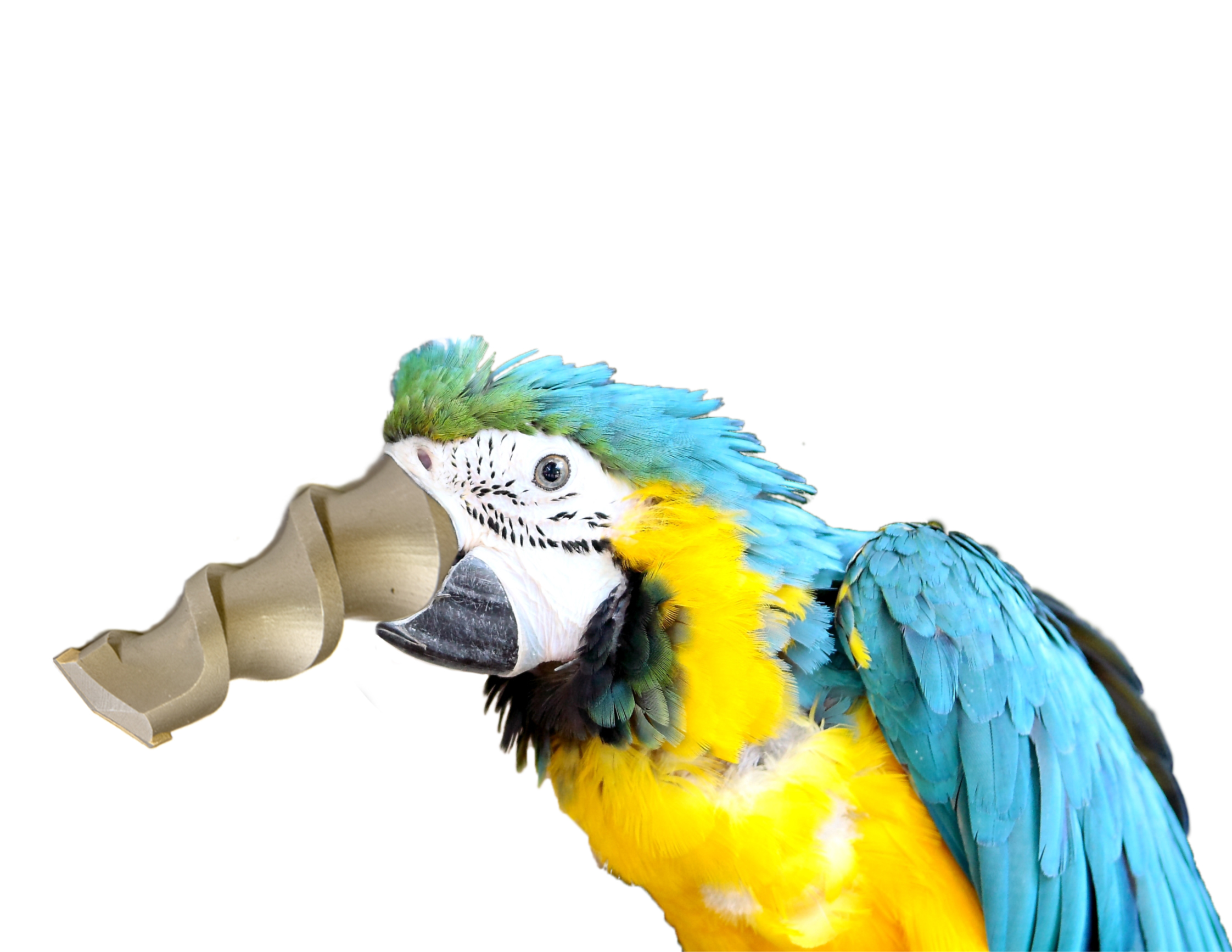 Photoshop Design by tonyman1106 for DesignCrowd (Community Contests) | Design #8947600