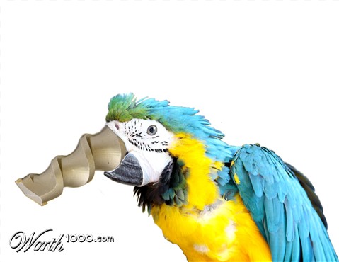 Photoshop Design by tonyman1106