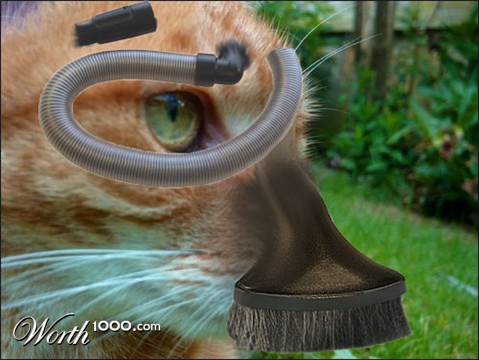 Photoshop Design by annakathmac