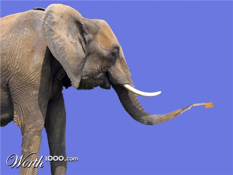 Photoshop Design by mohamediat