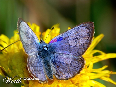 Photoshop Design by DoctorTweek