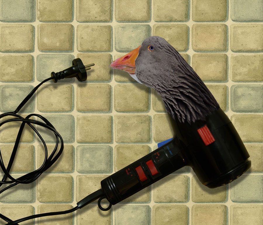 Photoshop Design by Aicha52 for DesignCrowd (Community Contests) | Design #8947593