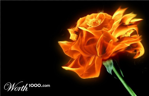Photoshop Design by theWebb