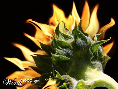 Photoshop Design by GeshaR