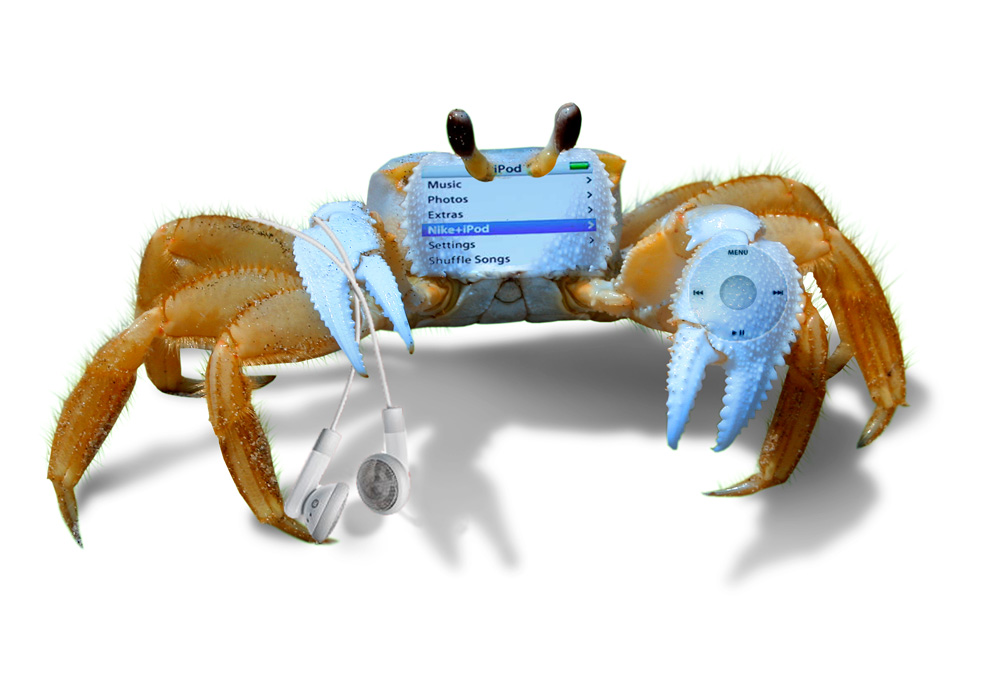 Photoshop Design by Oceanicy for DesignCrowd (Community Contests) | Design #8947629