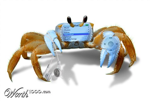 Photoshop Design by Oceanicy