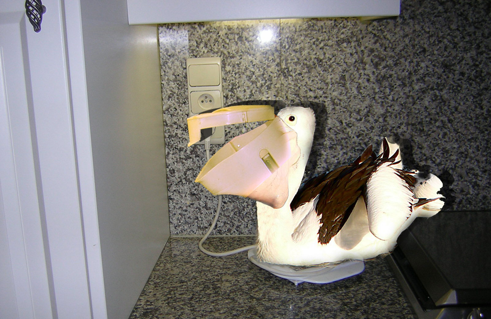 Photoshop-Design von boetsjelke für DesignCrowd (Community Contests) | Design #8947677