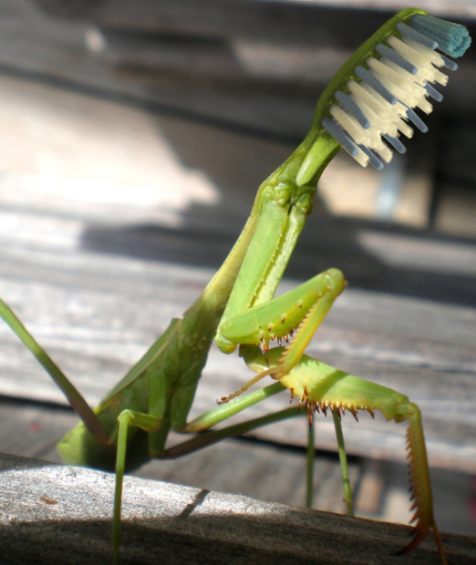 Photoshop Design by howaboutnow for DesignCrowd (Community Contests) | Design #8947686