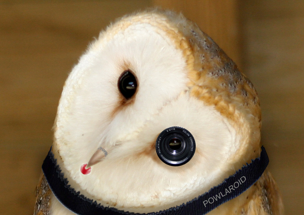 Design Photoshop par kathiess pour DesignCrowd (Community Contests) | Design #8947622