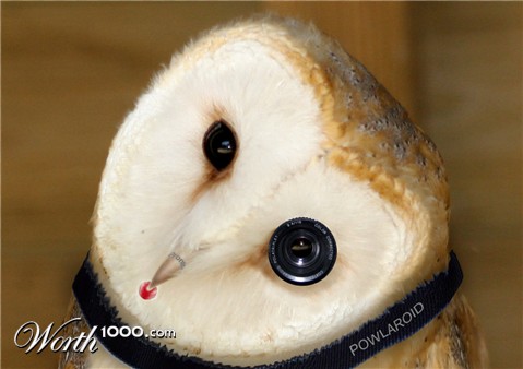 Photoshop Design by kathiess