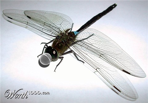 Photoshop Design by FodoChopper