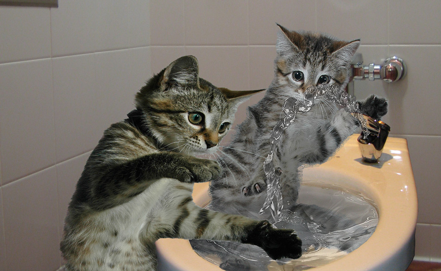 Photoshop Design by snakebit for DesignCrowd (Community Contests) | Design #8943532