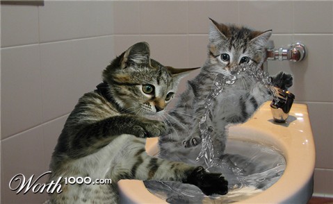 Photoshop Design by snakebit