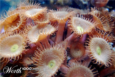 Photography by chronus24