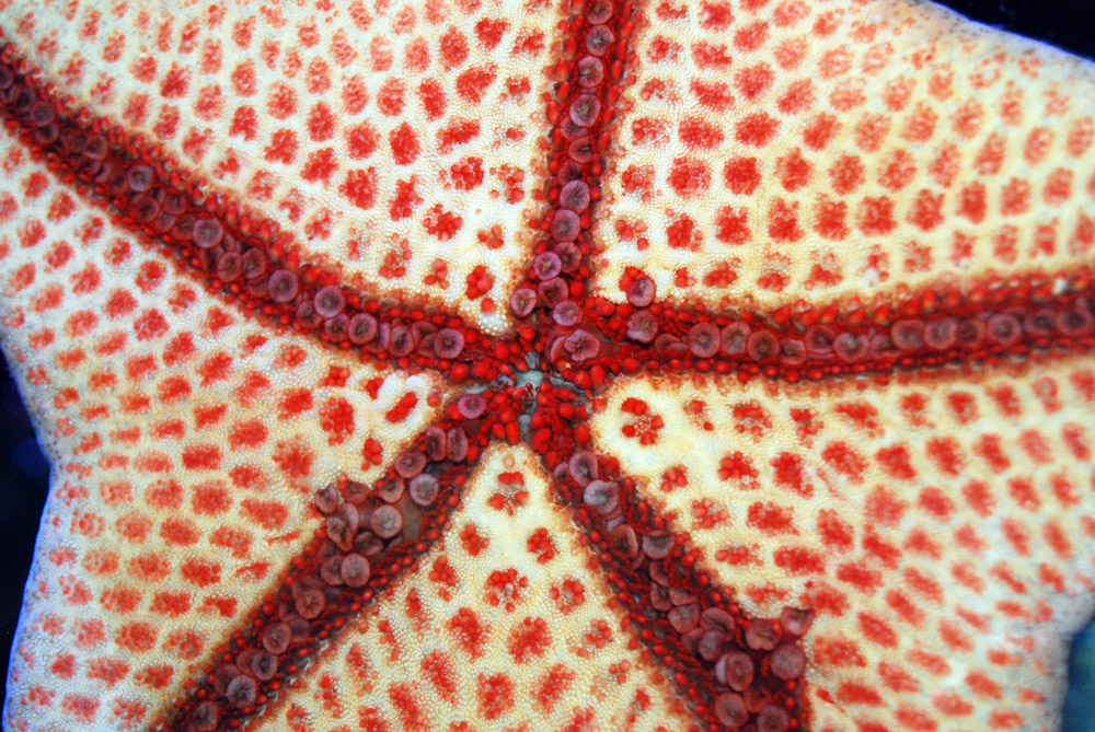 Photography by ffouche for DesignCrowd (Community Contests) | Design #8947354