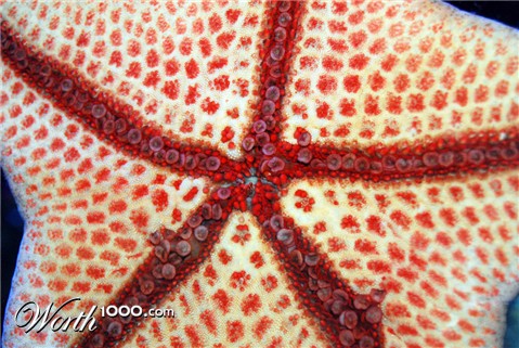 Photography by ffouche