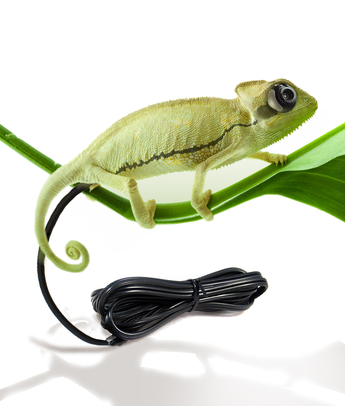 Photoshop Design by moo1cow2 for DesignCrowd (Community Contests) | Design #8947649