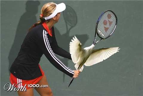 Photoshop Design by Zebulba76