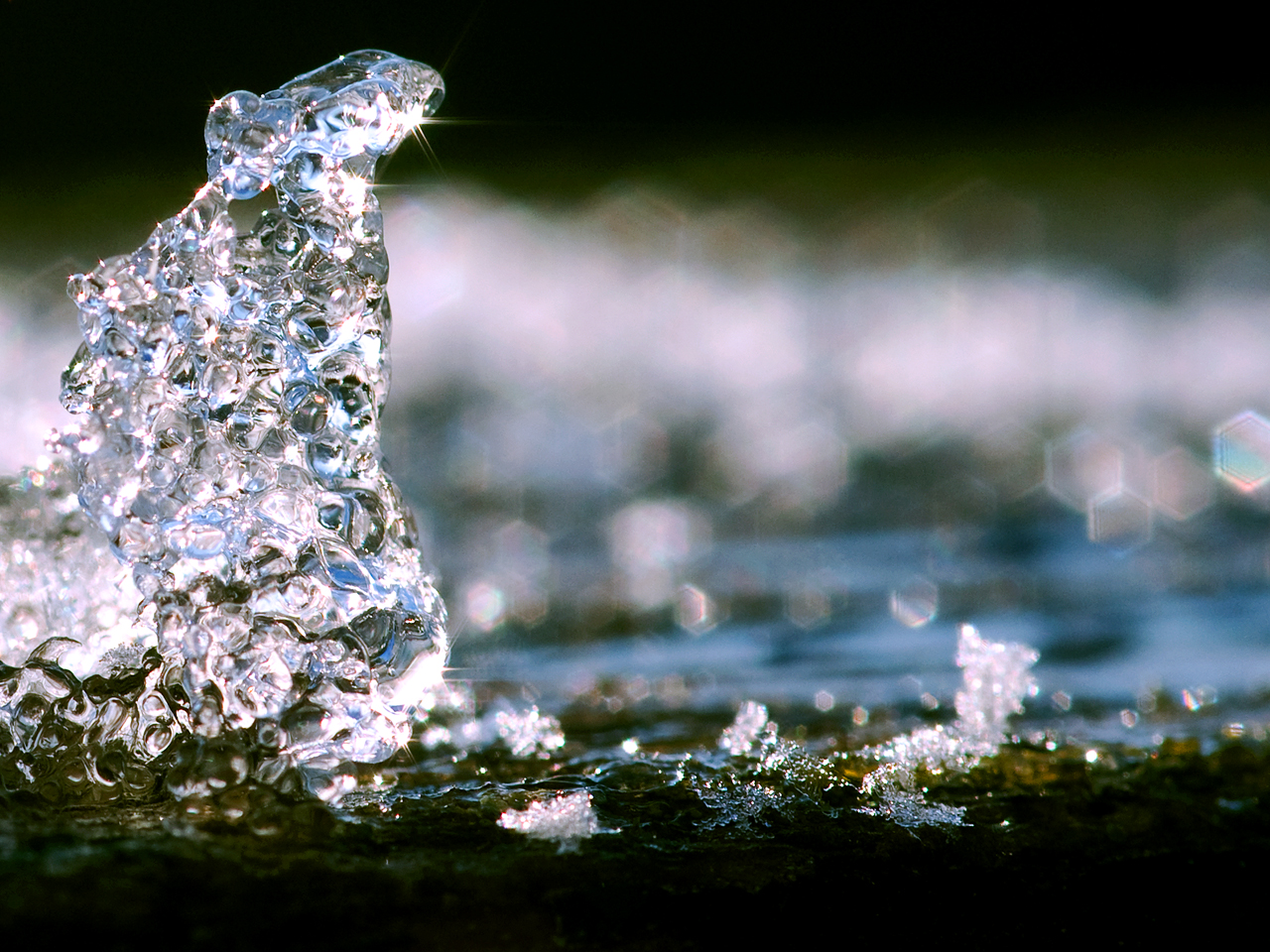 Photography by lunaryuna for DesignCrowd (Community Contests) | Design #8950223