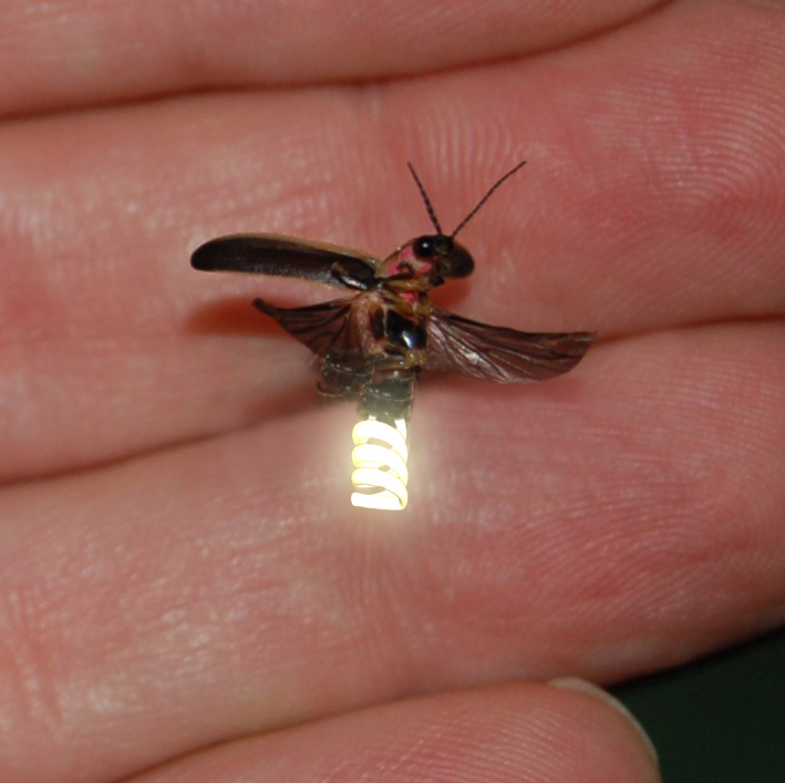 Photoshop Design by ConnieB for DesignCrowd (Community Contests) | Design #8947633