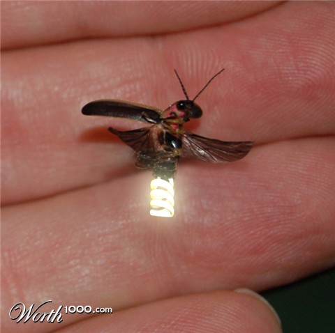 Photoshop Design by ConnieB