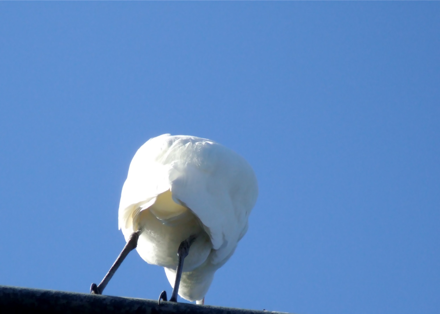 Photography by Audrey Kerchner for DesignCrowd (Community Contests) | Design #8950398