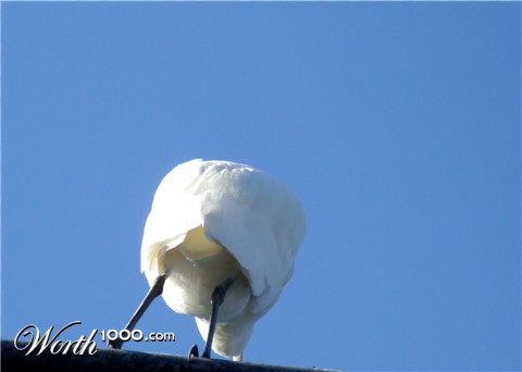 Photography by Audrey Kerchner