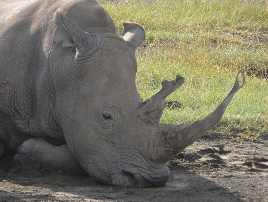 Photoshop-Design von JPawelec für DesignCrowd (Community Contests) | Design #8947643