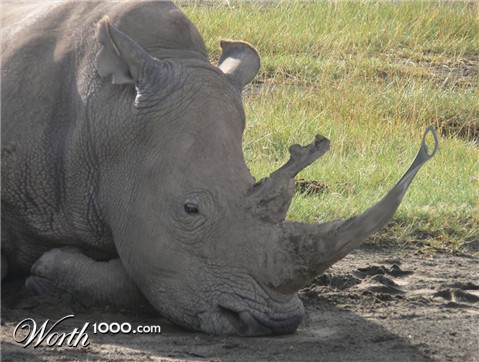 Photoshop Design by JPawelec