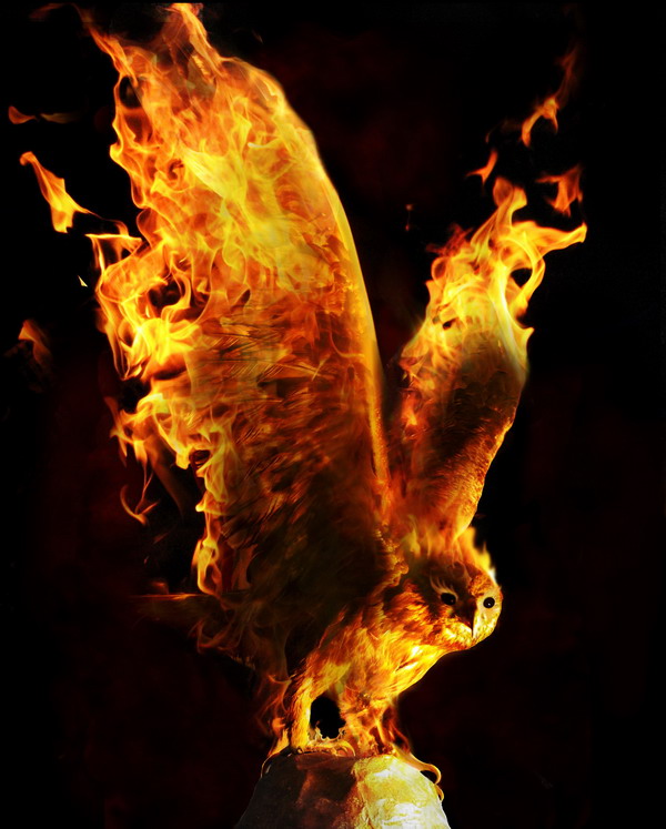 Photoshop Design by rasiresi for DesignCrowd (Community Contests) | Design #8941600