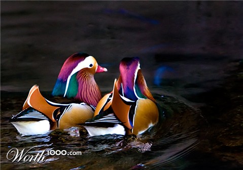 Photography by DozerLYP