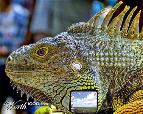 Photoshop Design by despiris