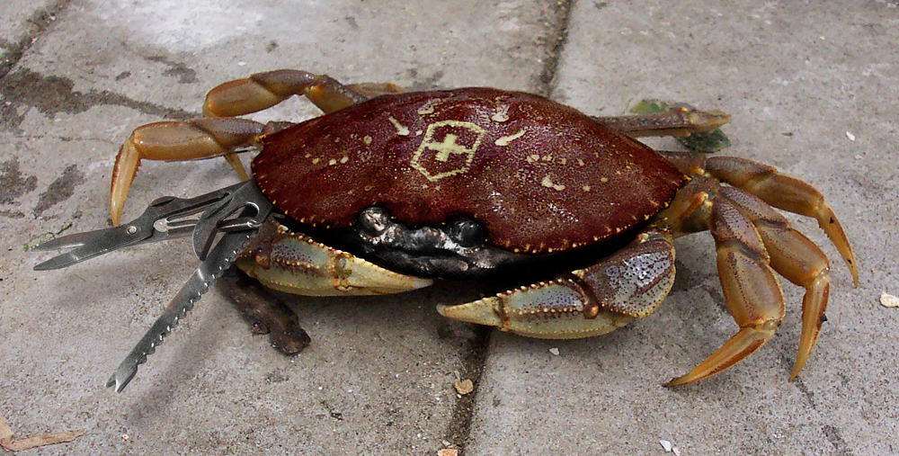 Diseño de Photoshop por Sandberg1983 para DesignCrowd (Community Contests) | Diseño #8947704