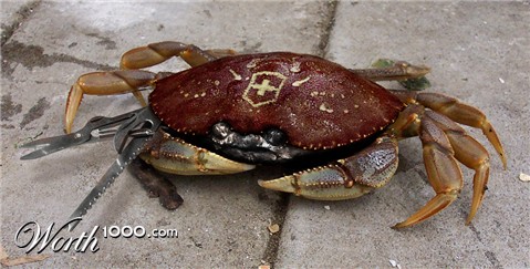 Photoshop Design by Sandberg1983