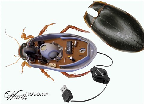 Photoshop Design by PixelTestMT