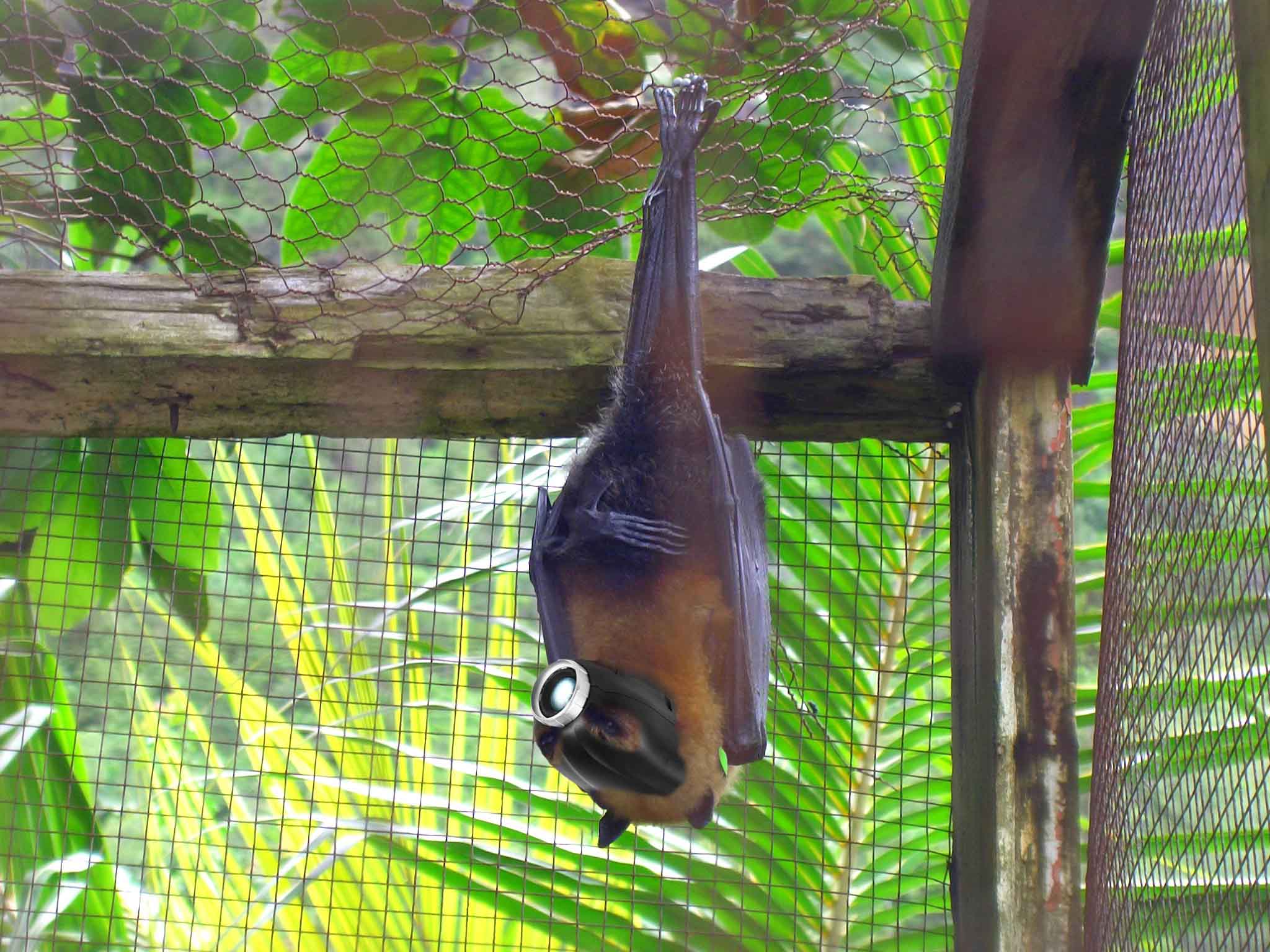 Diseño de Photoshop por fouljack para DesignCrowd (Community Contests) | Diseño #8947710