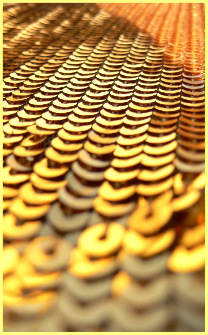 Photography by sausirhi for DesignCrowd (Community Contests) | Design #8950178