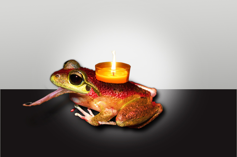 Photoshop Design by mikemuggles for DesignCrowd (Community Contests) | Design #8947758