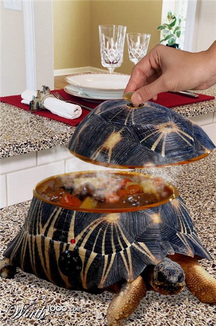 Photoshop Design by snakebit