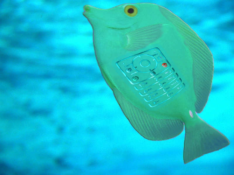 Photoshop Design by bpawlitzki for DesignCrowd (Community Contests) | Design #8947747