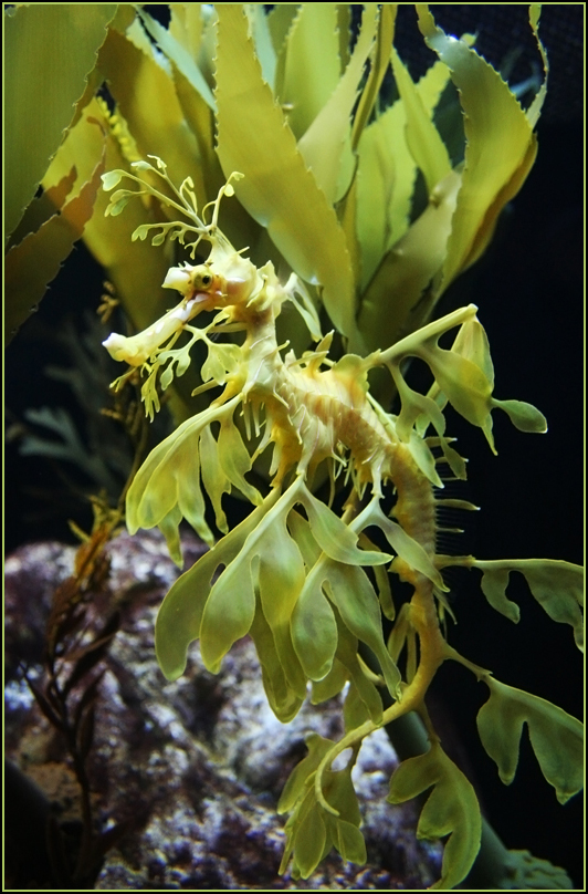 Photographie par crawdaddy pour DesignCrowd (Community Contests) | Design #8947320