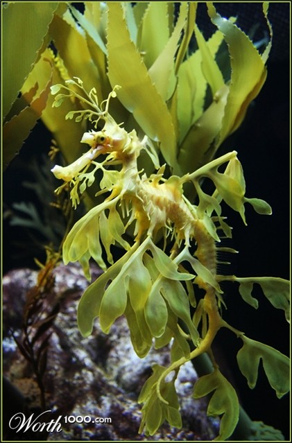 Photography by crawdaddy