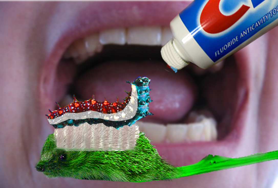 Photoshop-Design von maddiemay für DesignCrowd (Community Contests) | Design #8947826