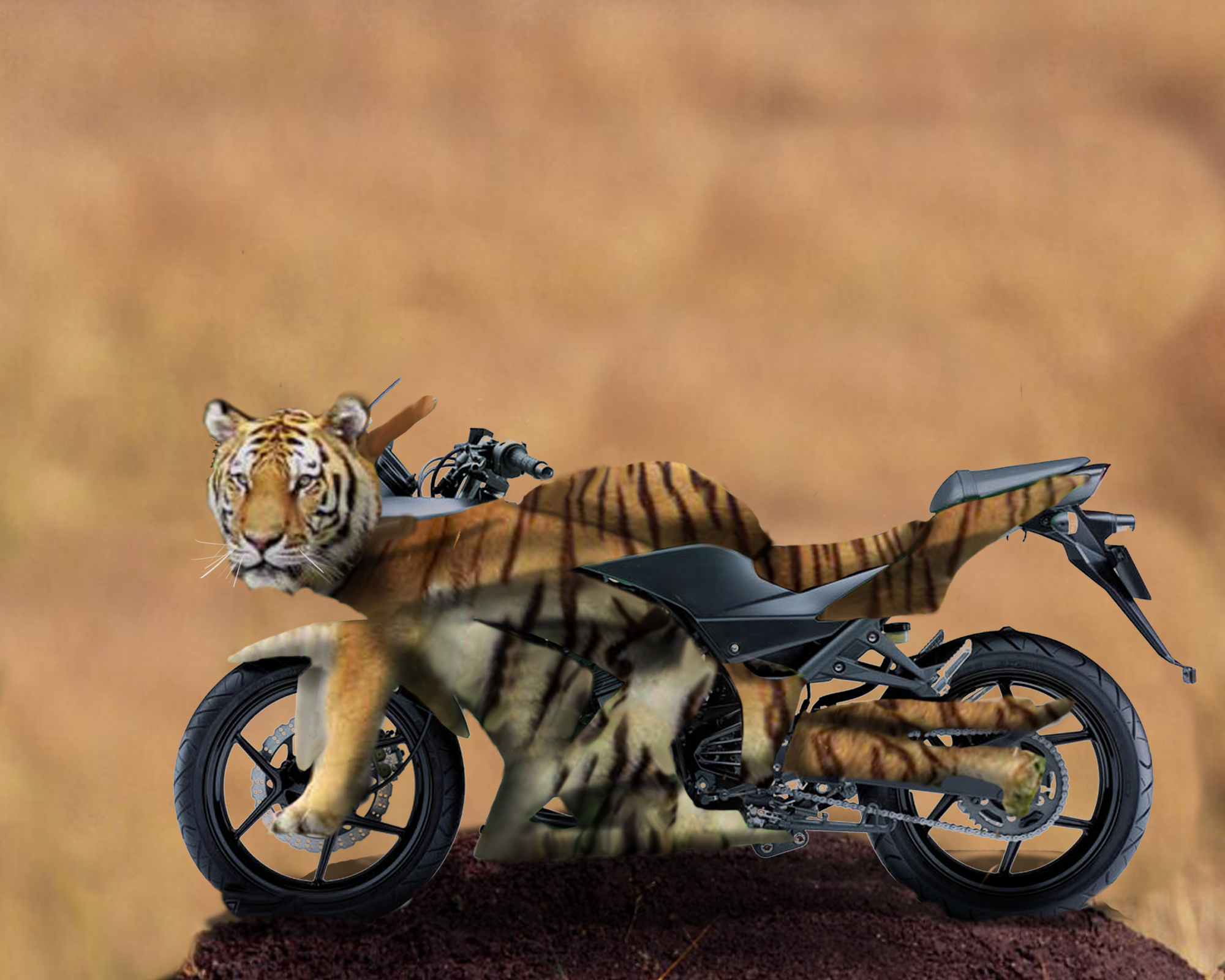 Design Photoshop par qsouthwood pour DesignCrowd (Community Contests) | Design #8947850