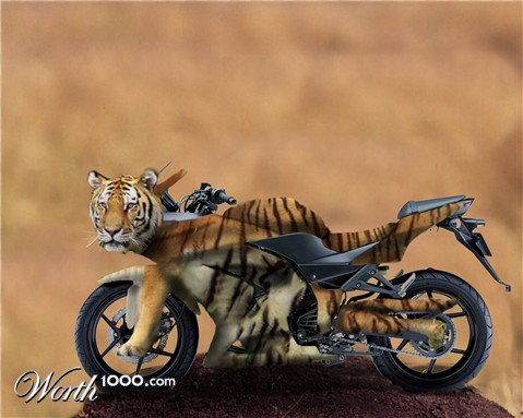 Photoshop Design by qsouthwood