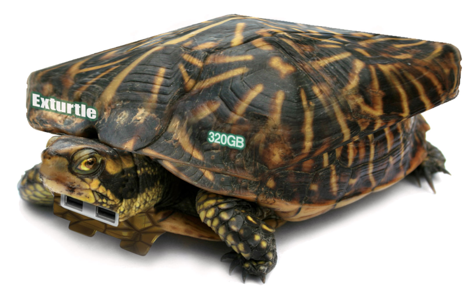 Diseño de Photoshop por Nomac7777 para DesignCrowd (Community Contests) | Diseño #8947789